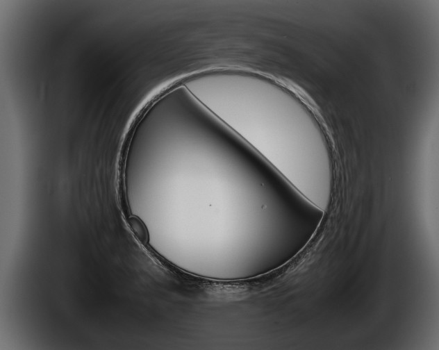 X0000086761183200704130808