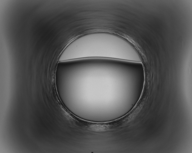 X0000086761185200704130807