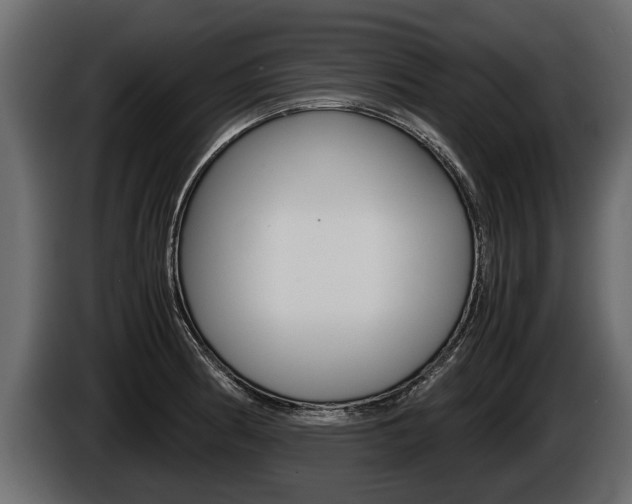 X0000086761186200704130807