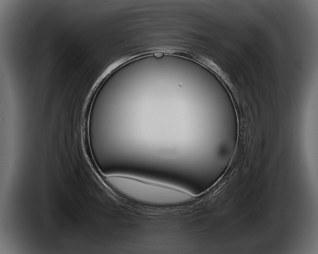 X0000086761187200704130807