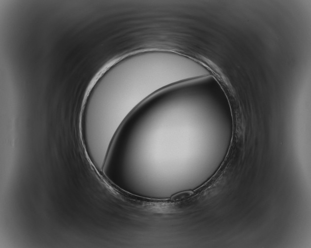 X0000086761188200704130807