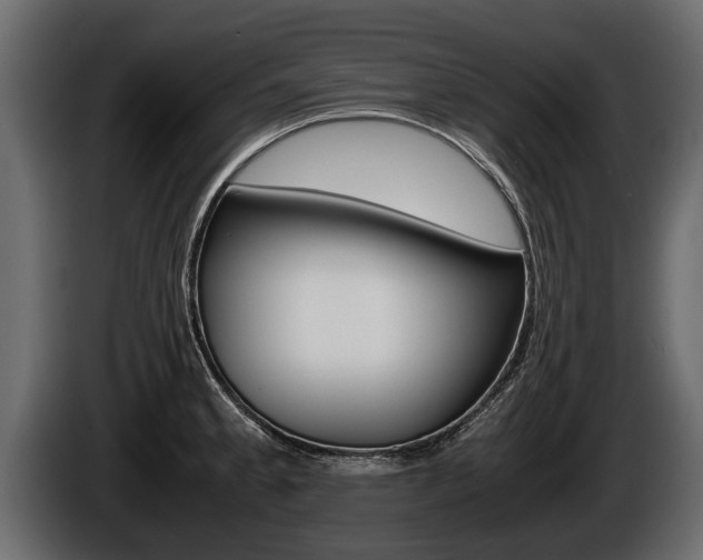 X0000086761189200704130807
