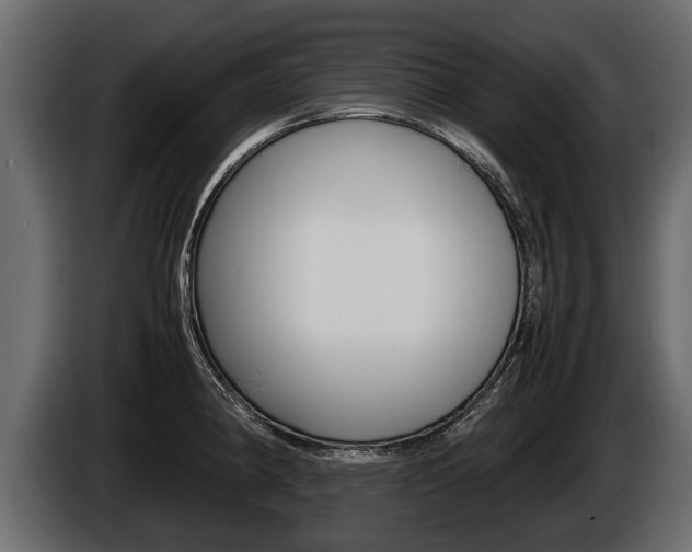 X0000086761190200704130807