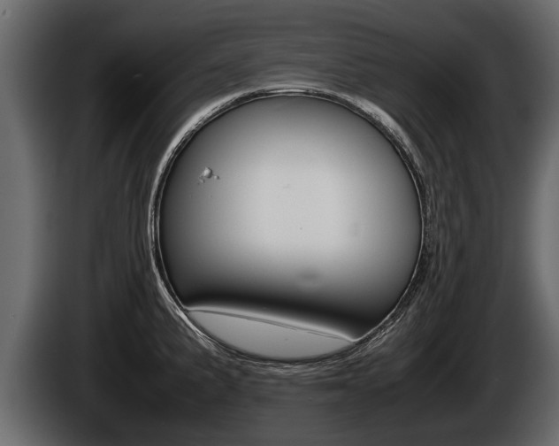 X0000086761191200704130807