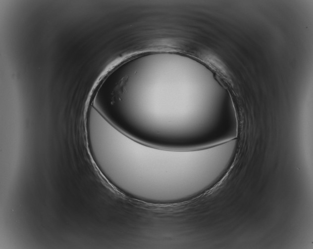 X0000086761192200704130807