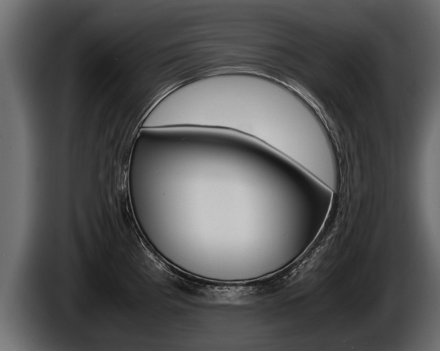 X0000086761193200704130807