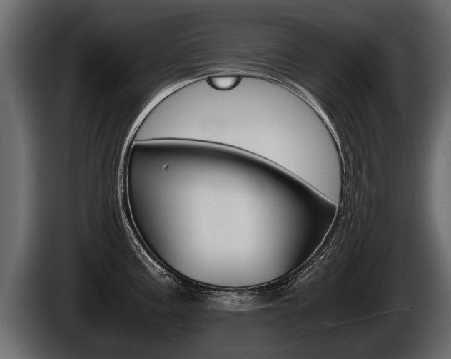 X0000086761195200704130807