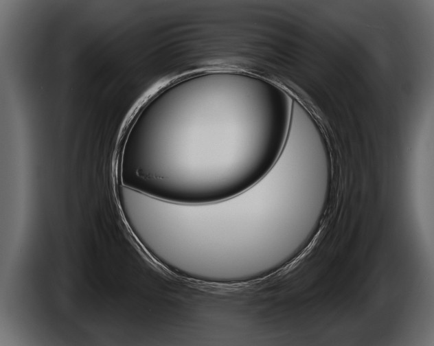 X0000086761196200704130807