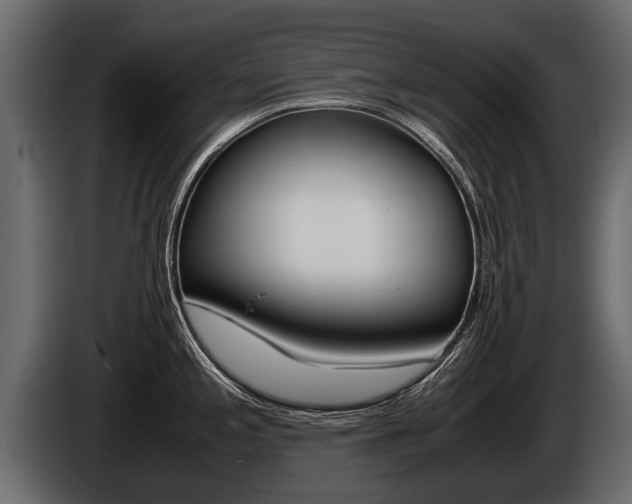X0000086761197200704130807