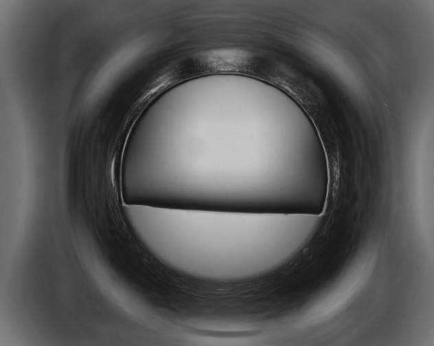 X0000086761198200704130807