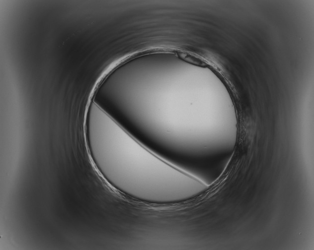 X0000086761199200704130807