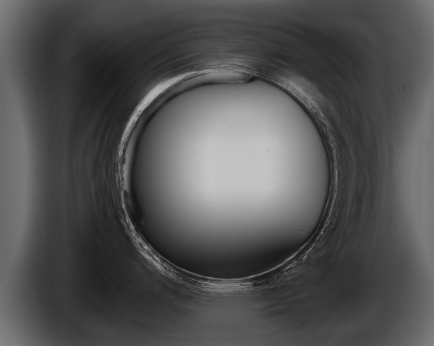 X0000086761200200704130807