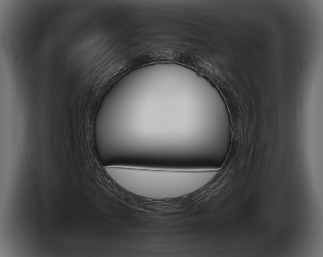X0000086761201200704130807