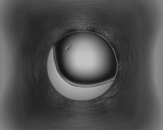 X0000086761202200704130807