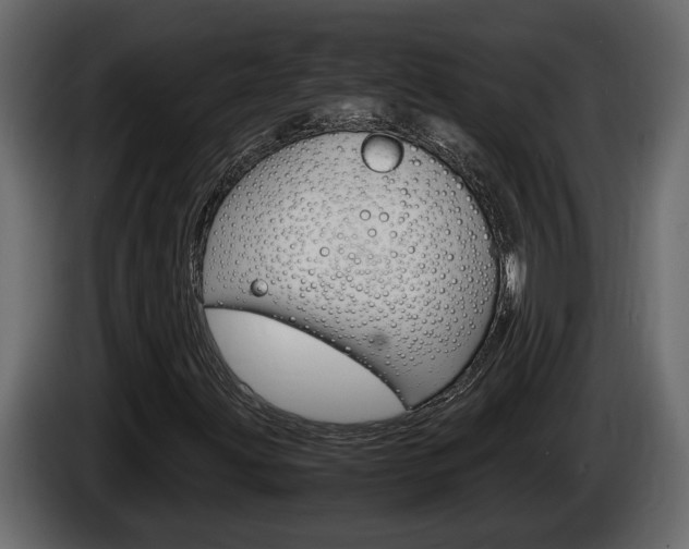 X0000086761203200704130807