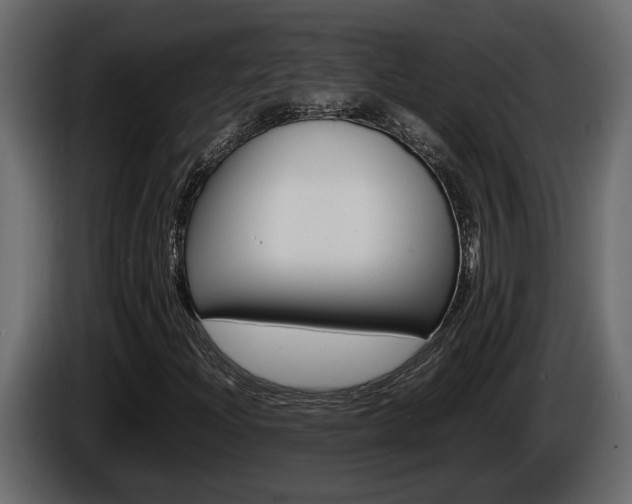 X0000086761204200704130807