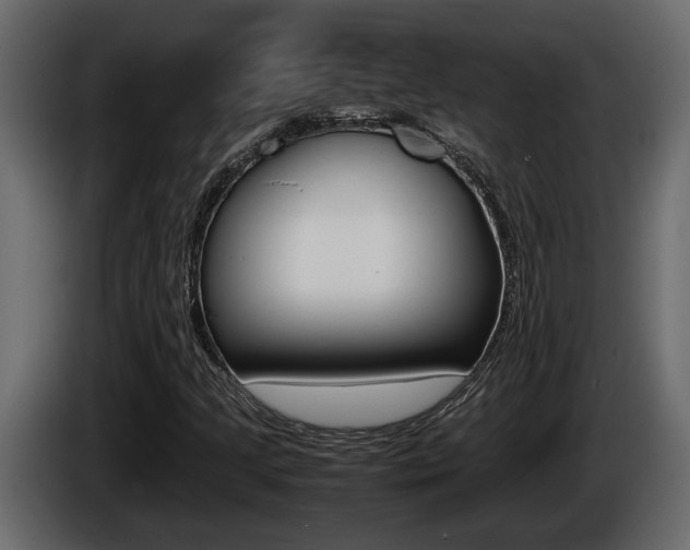 X0000086761205200704130807