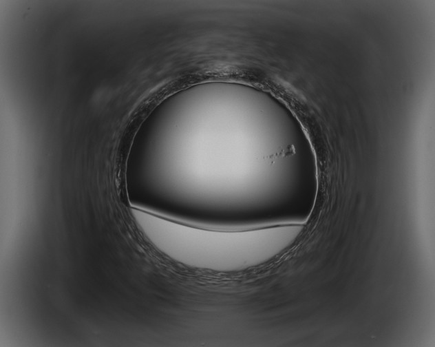 X0000086761206200704130807