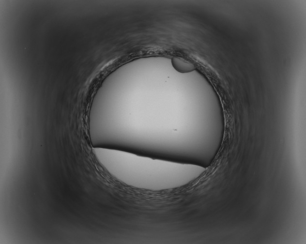 X0000086761207200704130807