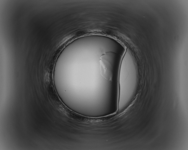 X0000086761209200704130807