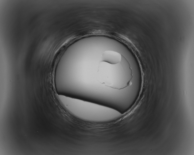 X0000086761211200704130807