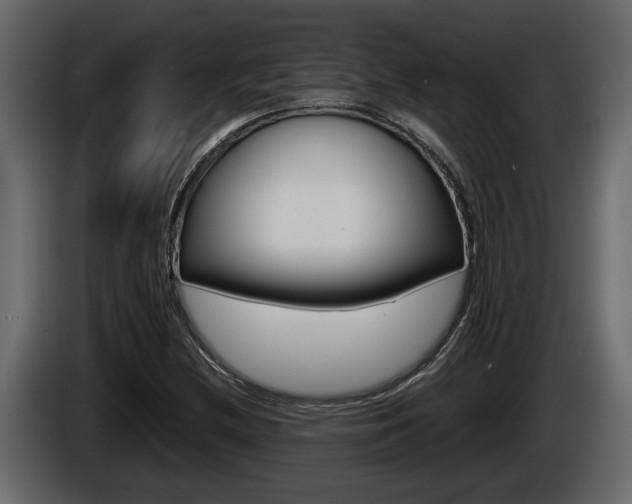 X0000086761212200704130807
