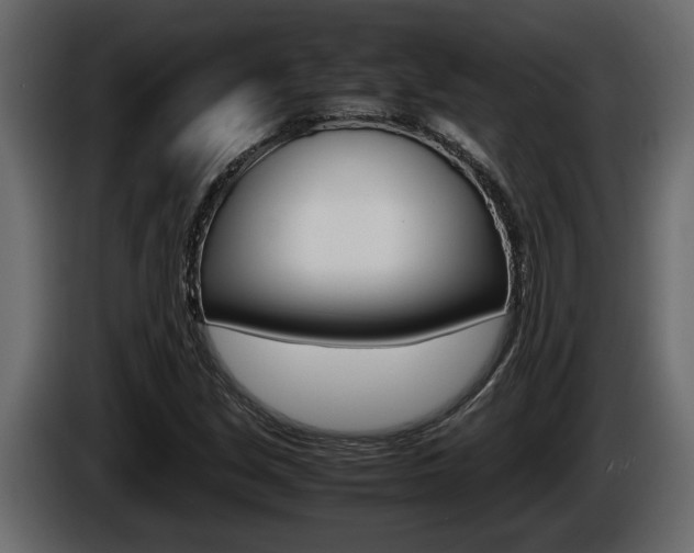 X0000086761213200704130807