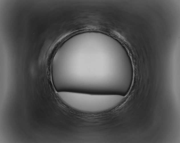 X0000086761215200704130807