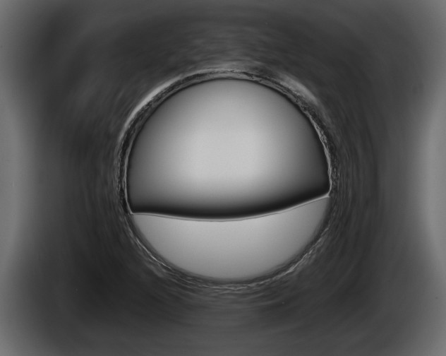 X0000086761216200704130807