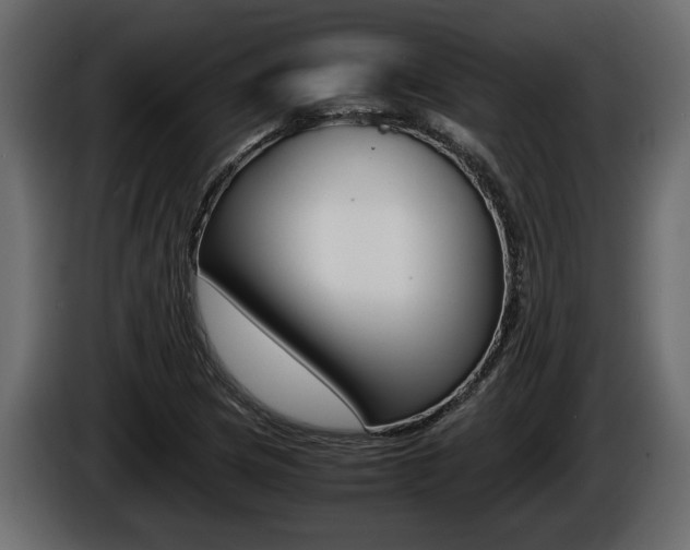 X0000086761217200704130807