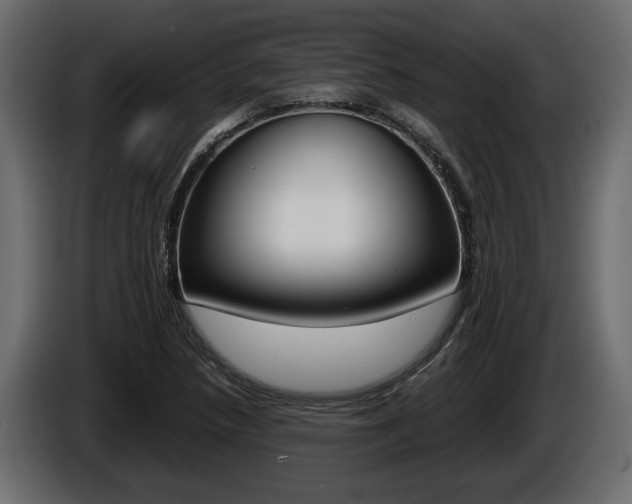 X0000086761218200704130807