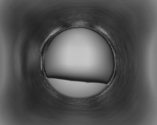 X0000086761219200704130807