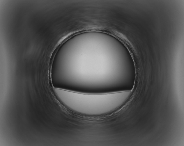 X0000086761220200704130807