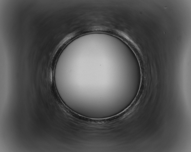 X0000086761221200704130807