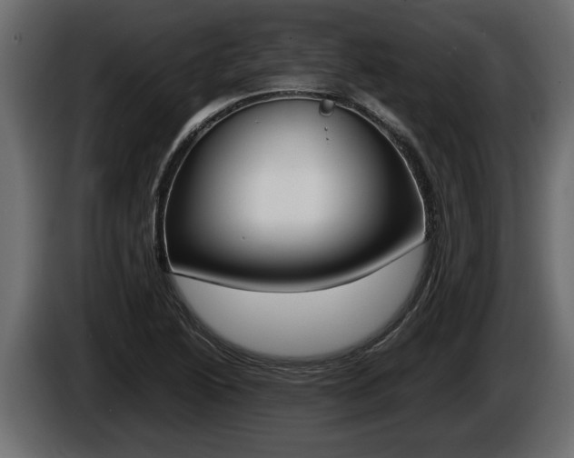 X0000086761222200704130807