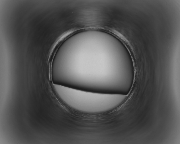 X0000086761223200704130807