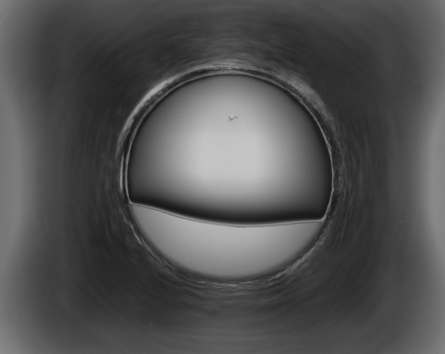 X0000086761224200704130807