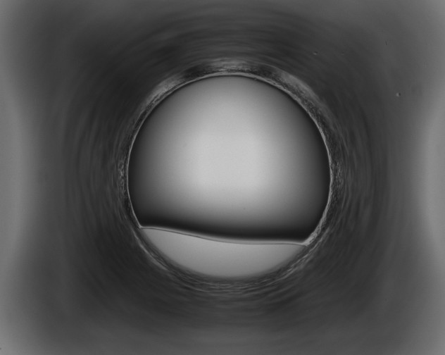 X0000086761225200704130807