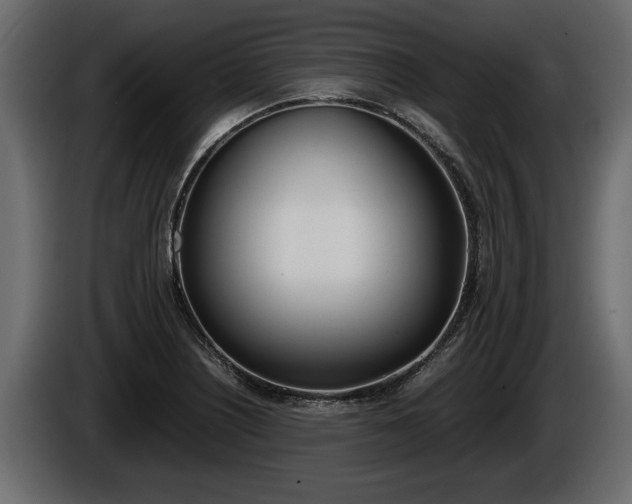 X0000086761226200704130807