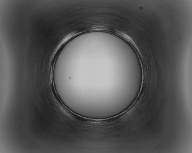 X0000086761227200704130807