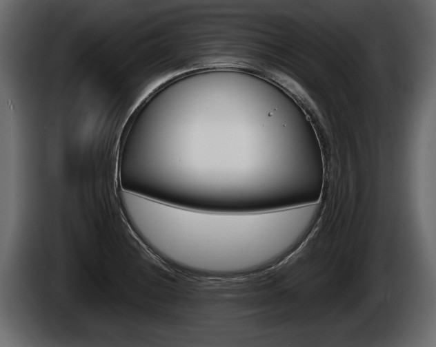 X0000086761228200704130807
