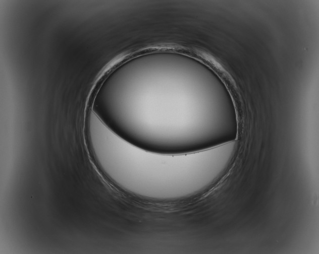 X0000086761229200704130807