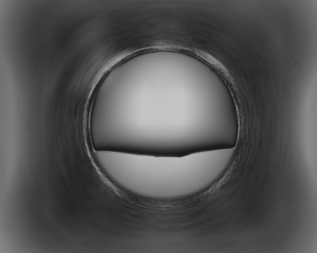 X0000086761231200704130807