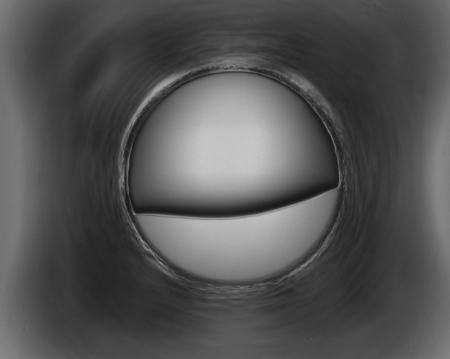 X0000086761232200704130807