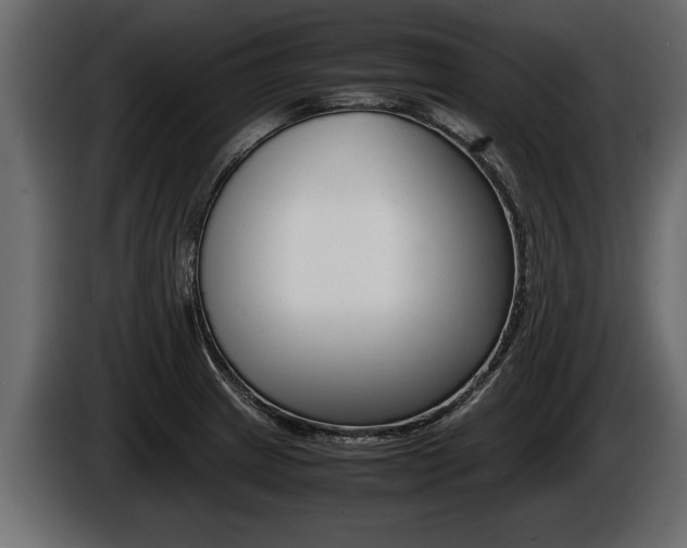 X0000086761233200704130807