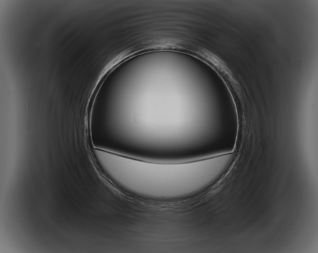 X0000086761234200704130807