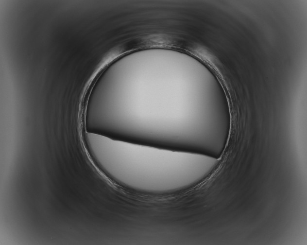 X0000086761235200704130807