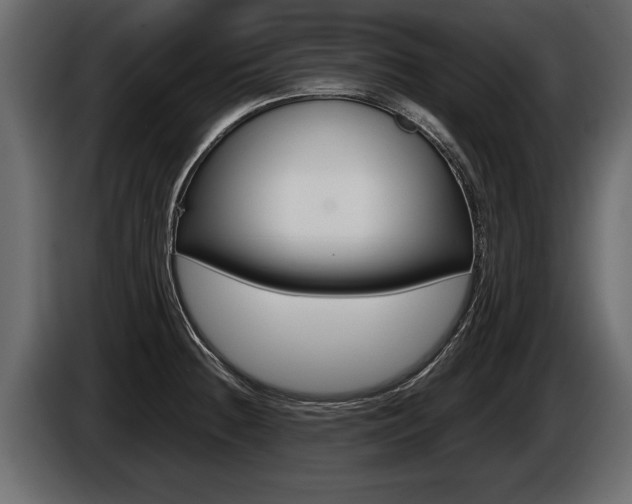 X0000086761236200704130807