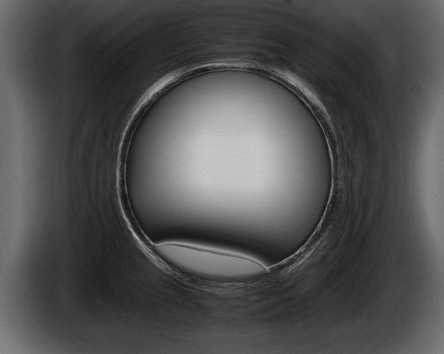 X0000086761237200704130807