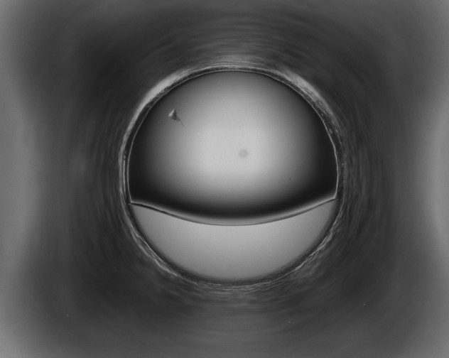 X0000086761238200704130807